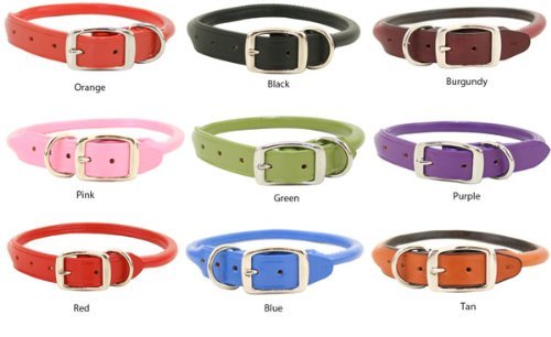 Auburn Round Collar - Tan - 5/8"x14" - Fits 11"-14" - PawsPlanet Australia