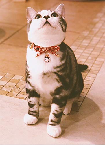 PetSoKoo Cute Bowknot Cat Collar with Bell. Japan Colorful Polka Dots Pattern. Lucky Cat Charm. Safety Breakaway, Soft, for Girl Boy Male Female Adult Cats Small (6-9.5 Inches,16-24cm) Pink - PawsPlanet Australia