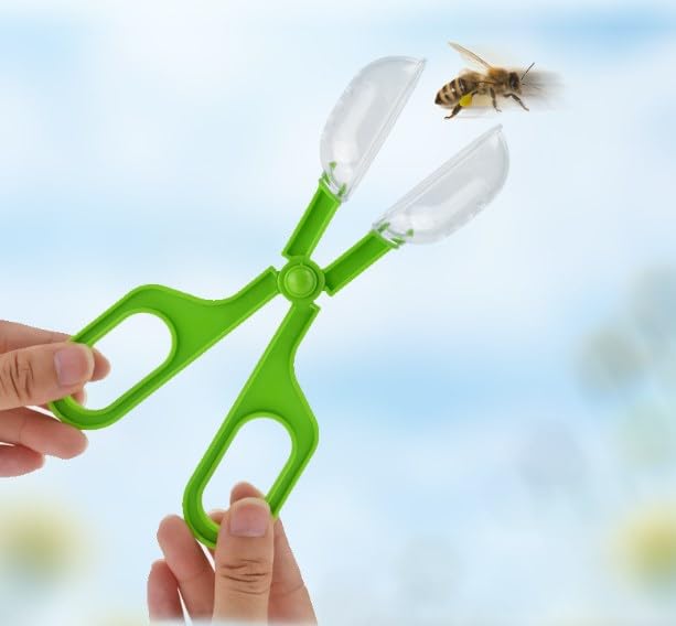 Reptile Feeding Clamp Poop Tongs Reptile Feeding Tool Reptile Poop Scoop with Vents for Tortoise Lizard Spider (Green) hamster poop scoop - PawsPlanet Australia