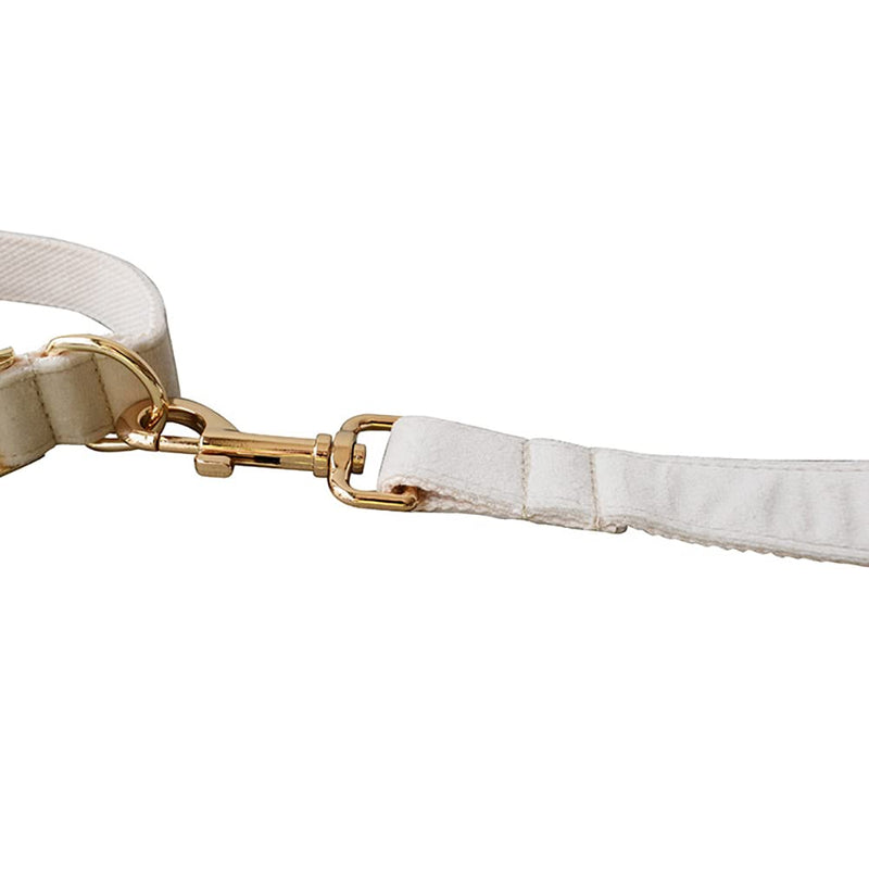 JiangYanus Dog Collar and Leash Set, Velvet Dog Collar and Leash with Metal Quick Release Buckle Adjustable for Small Medium Large Dogs Walking Running Training and Wedding Birthday or Christmas Party - PawsPlanet Australia