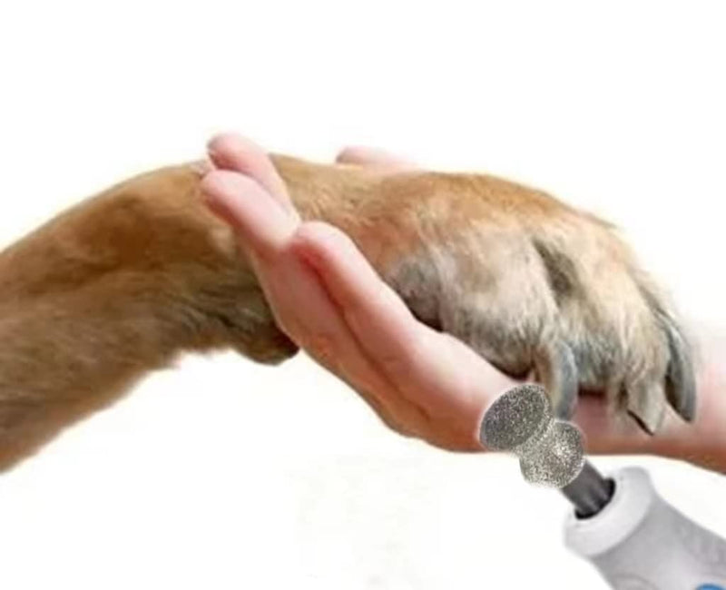 Diamond Rotary Nail Grinder Bits for Dog-Dog Nail Grinder Replacement Heads-Replaced Dog Nail Grinder Wheel- Pet Nail Grinder Attachment 2-Pack - PawsPlanet Australia