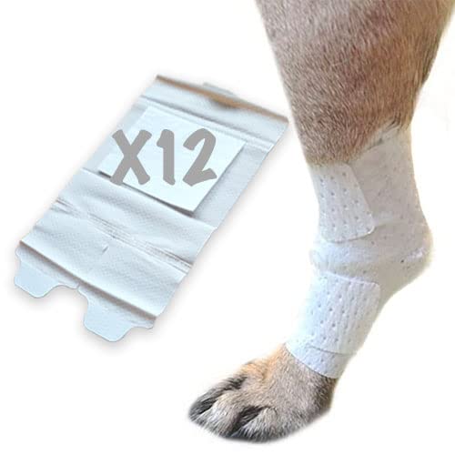 Joint and Large Area Wound Bandages for Dogs Cats & Other Pets. Great for Leg Joint sprains and Tail Injuries! Non Adhesive Breathable Non-Slip Disposable Washable Value Pack (Medium 12pk) White Medium 12pk
