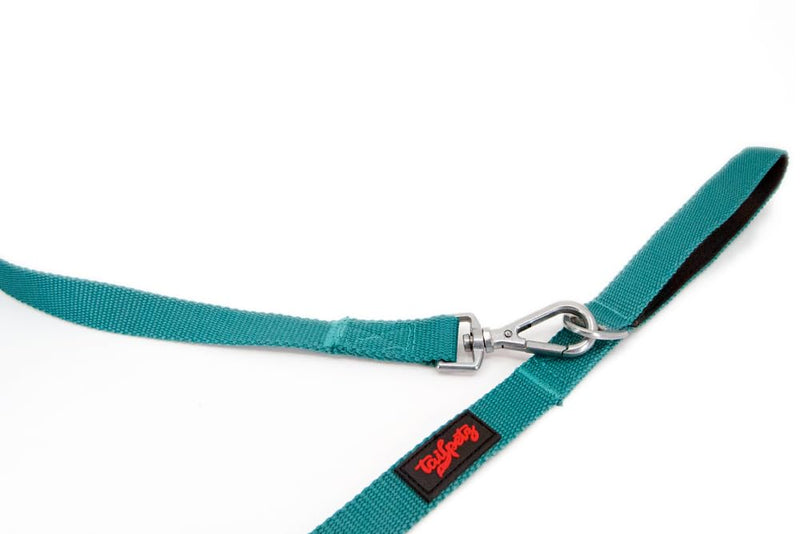 Tailpetz Basic Match Pet Leash 4,58ft Long for Small and Medium Breed Dogs and Cats (Medium, Emerald) - PawsPlanet Australia
