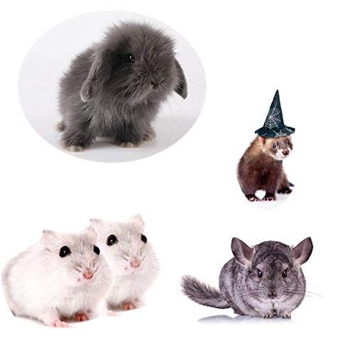 Small Animals Bowl, Detachable Cage Feeder Pet Ceramic Water & Food Feeder, Small Animal Supplies for Rabbit Parrot Squirrels Chinchilla Hamster Ferret (White, M) White Medium - PawsPlanet Australia