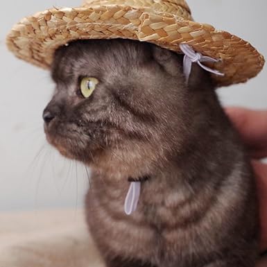 1Pc Light Brown Novelty Summer Adjustable Pet Dog Outdoor Straw Hat Puppy Small Kitty Cat Sunhats Dog Hat, Apparel and Accessories - PawsPlanet Australia