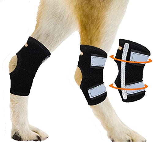 NeoAlly Super Supportive Dog Braces for Rear Leg and Hock Joint with Dual Metal Spring Strips Stabilize Canine hind Legs from Wound, Injury, Sprains, Arthritis (XL Pair) Both Leg XL