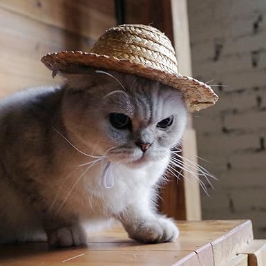1Pc Light Brown Novelty Summer Adjustable Pet Dog Outdoor Straw Hat Puppy Small Kitty Cat Sunhats Dog Hat, Apparel and Accessories - PawsPlanet Australia