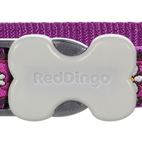Red Dingo Bucklebone Dog Collar Design, Daisy Chain Purple, Medium 20mm M (Pack of 1)