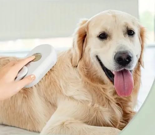 Pet Hair Brush - PawsPlanet Australia