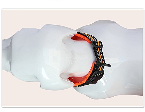 Creation Core 3M Reflective Mesh Padded Dog Collar Adjustable Nylon Outdoor Adventure Pet Collar, Orange XL - PawsPlanet Australia
