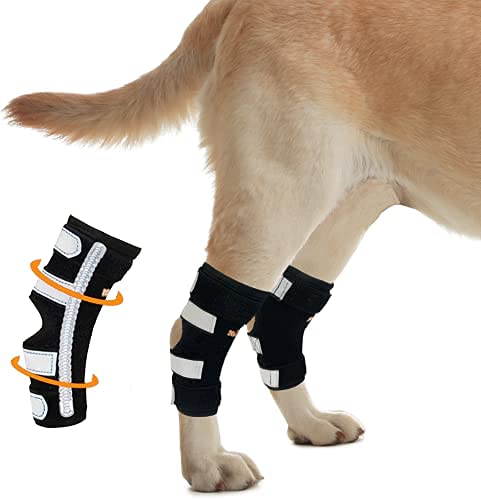 NeoAlly Dog Canine Braces for Rear Legs Super Supportive with Dual Metal Spring Inserts to Stabilize Dog Hind Legs, Help Dogs with Injuries, Sprains, Arthritis, ACL (M Pair) M (1 Pair)
