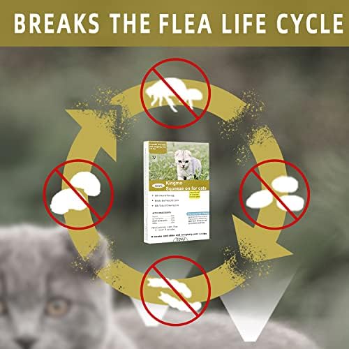 Flea and Tick Prevention for Cats, Cat Flea & Tick Control, Long-Lasting & Fast-Acting Topical Flea & Tick Treatment Drops for Kitten (6 Doses) 6 Doses