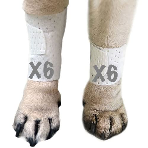 Basic Leg Bandages for Dogs, Cats, Pets -First- aid Non Adhesive Fur Friendly, Soft Stretch Wound Care, hot Spots, Fungus, Adjustable Fastening Strap Value Pack (Medium 12-Pack) Medium 12-Pack