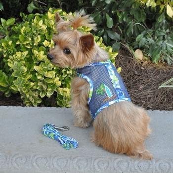 Cool Mesh Dog Harness - Dog Vest for Pets, Simple Step in and Go Design, Harness for Dogs with Leash, Surfboard Blue & Green, Small by Doggie Design Surfboard Blue and Green - PawsPlanet Australia