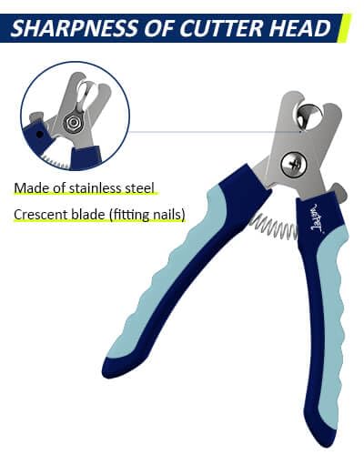 WePet Dog Nail Clippers U10.1, Dog Nail Trimmer Large Breed with Quick Sensor, Razor Sharp Blade Professional Pet Nail Clipper with Safety Guard and Nail File, Pale Turquoise #09 Pale Turquoise - PawsPlanet Australia