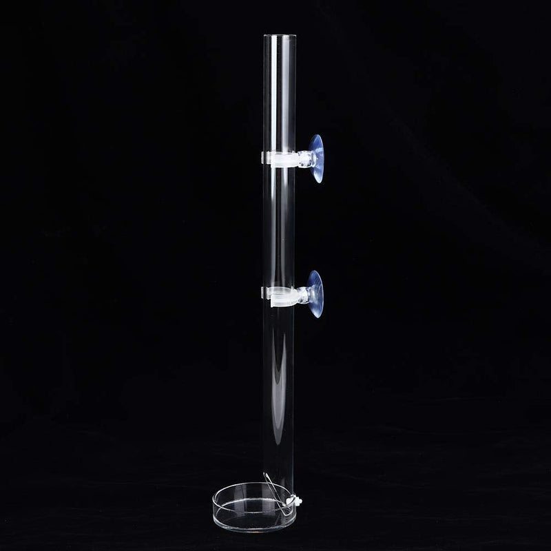 Acrylic Shrimp Feeder Tube, Ornamental Aquarium Feeding Tube Fish Food Container Set with Sucker Hook Fish Tank Accessories 20cm - PawsPlanet Australia