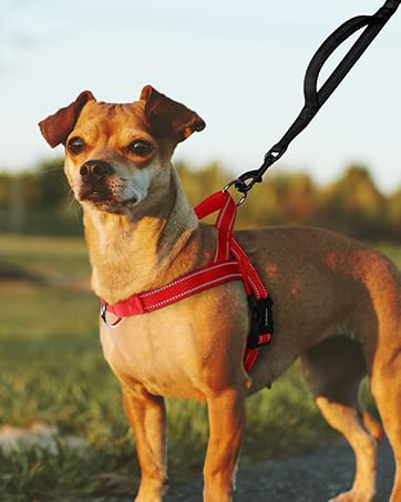 rabbitgoo Dog Harness No Pull, Quick Fit for Small Dogs with Soft Padded Handle, Chest Adjustable Reflective Pet Vest, No Choke Escape Proof for Walking Training, Red M - PawsPlanet Australia