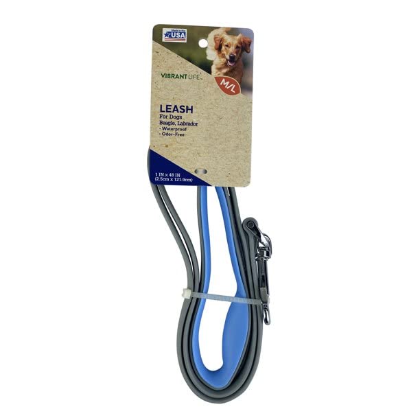 Vibrant Life 4-Foot Dog Leash, Teal and Gray - PawsPlanet Australia