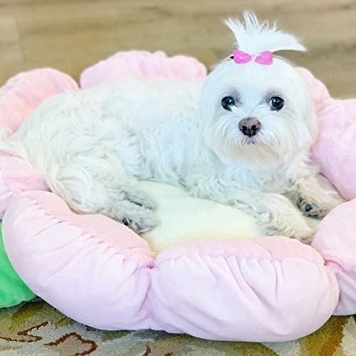 TONBO Soft Plush Small Cute and Cozy Pastel Pink Flower Dog Cat Bed, Washer and Dryer Friendly, (Pastel Pink) - PawsPlanet Australia