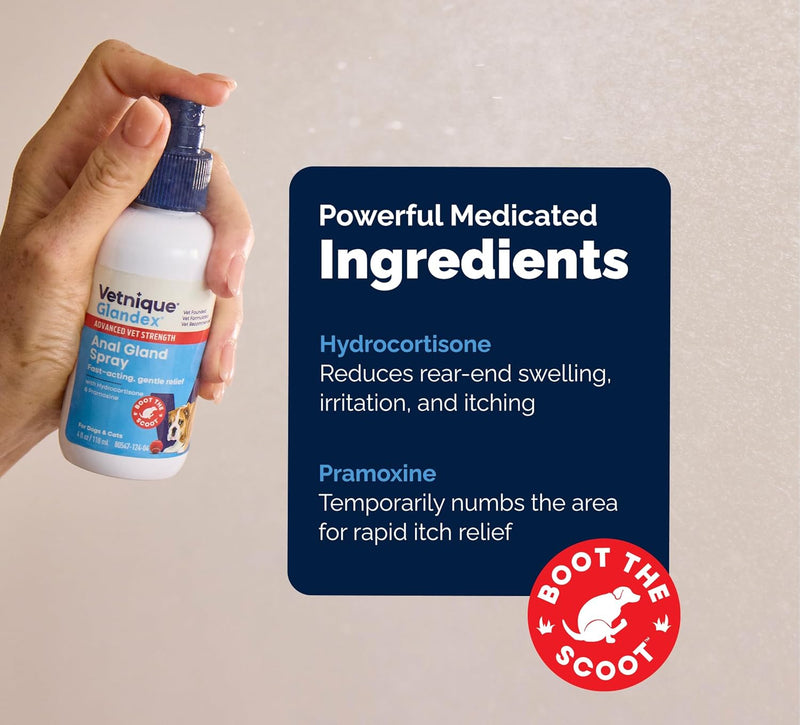 Vetnique Labs Glandex Medicated Dog Anal Gland Spray - Pain Relieving & Anti-Itch Formula to Soothe Inflamed Anal Glands in Dogs & Cats - Fast Acting Clinical Formula - Boot The Scoot (4oz)