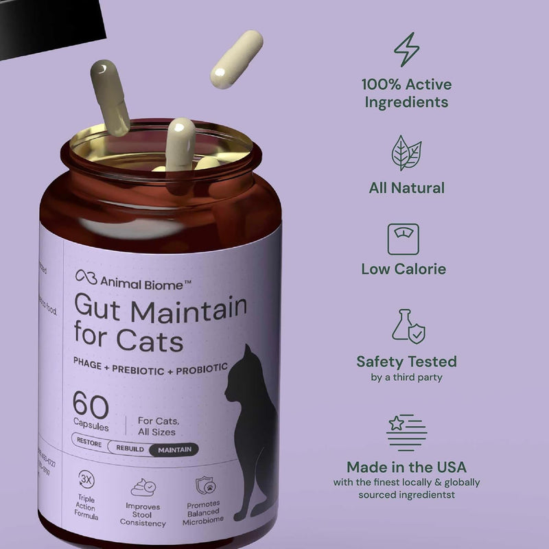 KittyBiome GMP Gut Maintenance Plus Diarrhea Relief for Cats - Triple Action Formula Designed to Reduce Diarrhea Caused by Antibiotics, C. Difficile, or E. Coli