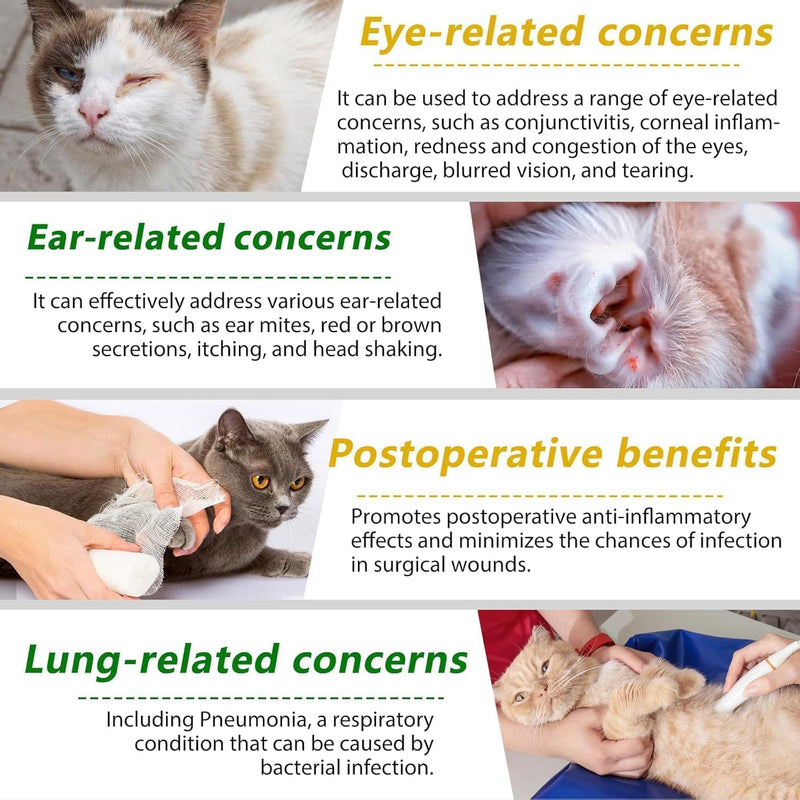 Natural Antibiotics for Cats - Cat Antibiotics - Cat Antibiotic - Pet Antibiotics - Cat Immune Support - Antibiotic for Cats - Cat Multivitamin - Cat UTI Antibiotics