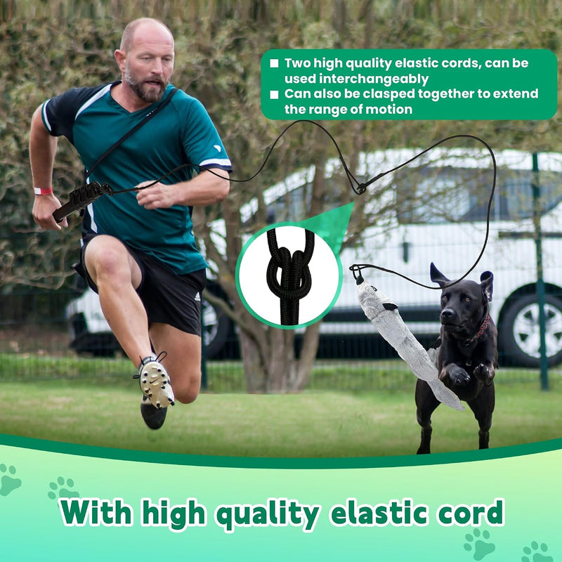 Flirt Pole Dogs, Dog Flirt Pole Extra Strong for Large Medium Small Dogs to Keep The Dog Entertained and Physically Exhausted Ball+Beaver L