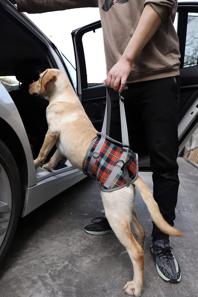 BIGNADO Dog Lifting Harness Hind Legs Support Dog Portable Recovery Walking Training Lift Support Strap with Handle for Old Injured Red X-LARGE - PawsPlanet Australia