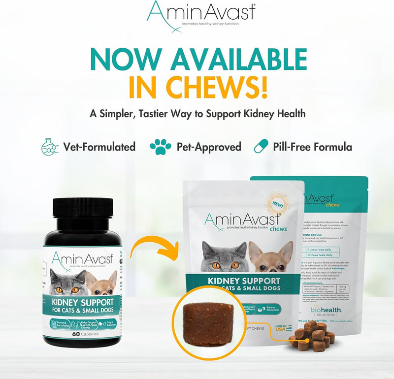 AminAvast Kidney Support Supplement for Cats and Dogs, 300mg - Promotes Natural Kidney Function - Aids in Health and Vitality of Aging Kidneys - Easily Administered - 60 Sprinkle Capsules - PawsPlanet Australia