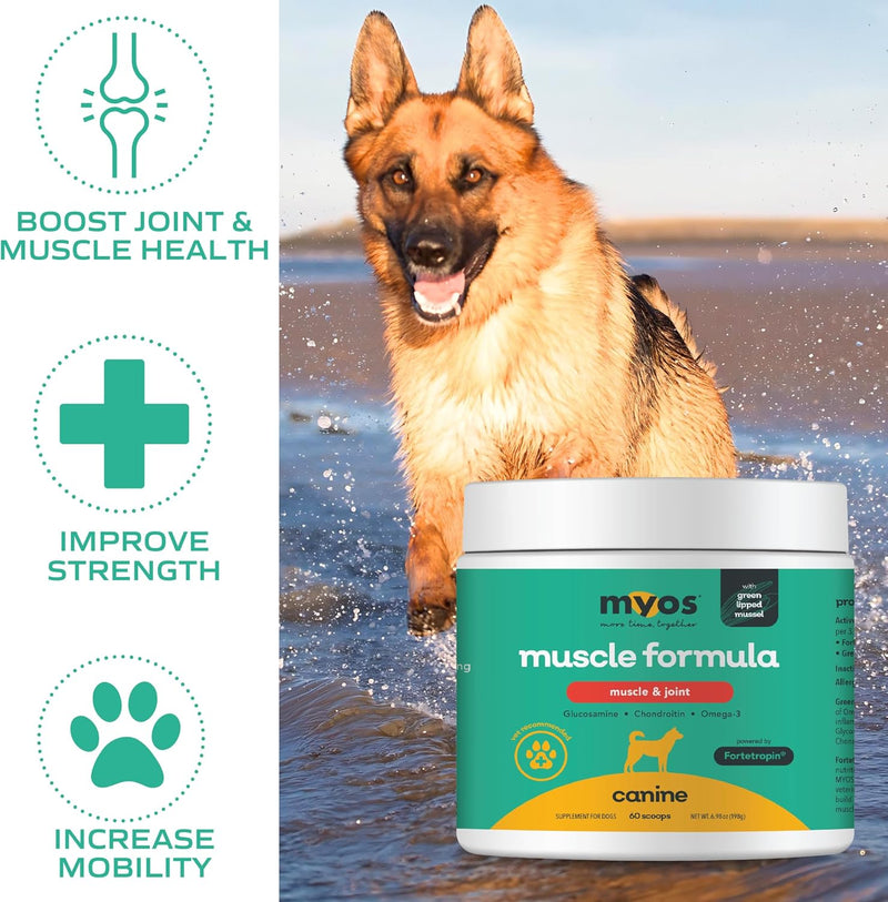 MYOS Muscle & Joint – All Natural Canine Joint Health Supplement Powered by Fortetropin with Green Lipped Mussel – Reduce Muscle Loss, Boost Joint Mobility & Improve Recovery and Reduce Inflammation