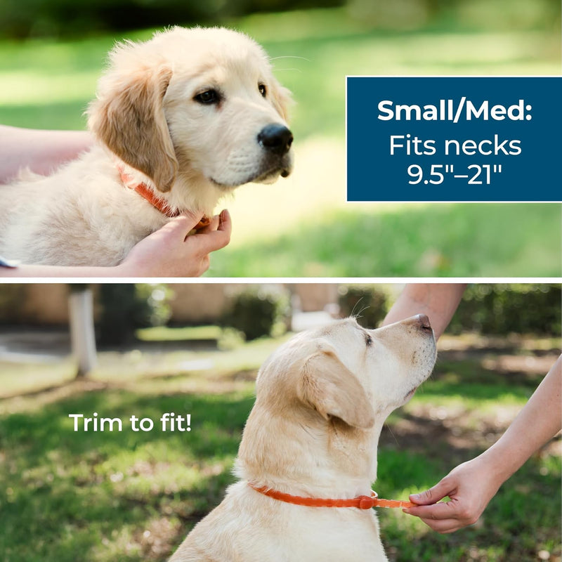 Wondercide Dog Collar - Flea, Tick, and Mosquito Repellent, Prevention for Dogs - with Natural Essential Oils - Pet and Family Safe - Up to 4 Months Protection 1 Collar - PawsPlanet Australia