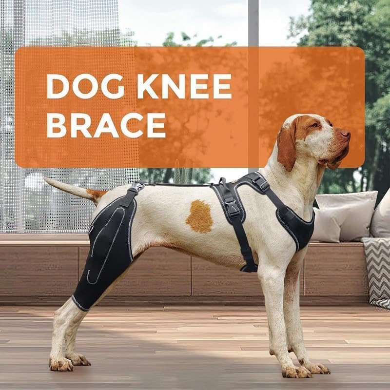 REBORN Dog Double Knee Brace for Torn ACL, CCL & Luxating Patella, Adjustable Back Leg Support & Recovery, Hind Leg Brace for Stability, Arthritis, Injury & Joint Pain Relief, Medium