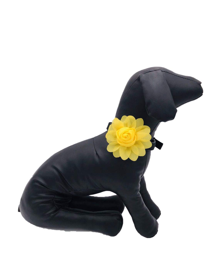 PET SHOW Valentines Small Dogs Flower Charms Slide Collar Accessories for Medium Large Dogs Cat Puppies Rabbit Pigs Collars Bows Grooming Supplies D 3.4"