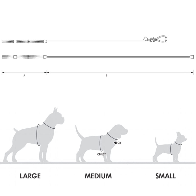 Harness Lead No Pull Dog Harness and Leash Set, Slip Leads for Dogs, Leash for Medium Dogs, All in One Dog 3-in-1, 5ft Pet Training Leads, One-Piece Cushioned Rope Design black - PawsPlanet Australia
