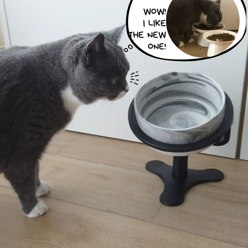 Adjustable Raised Cat Food Bowl, Tilted Elevated Bowl (2-Pack, Black) 2-Pack - PawsPlanet Australia