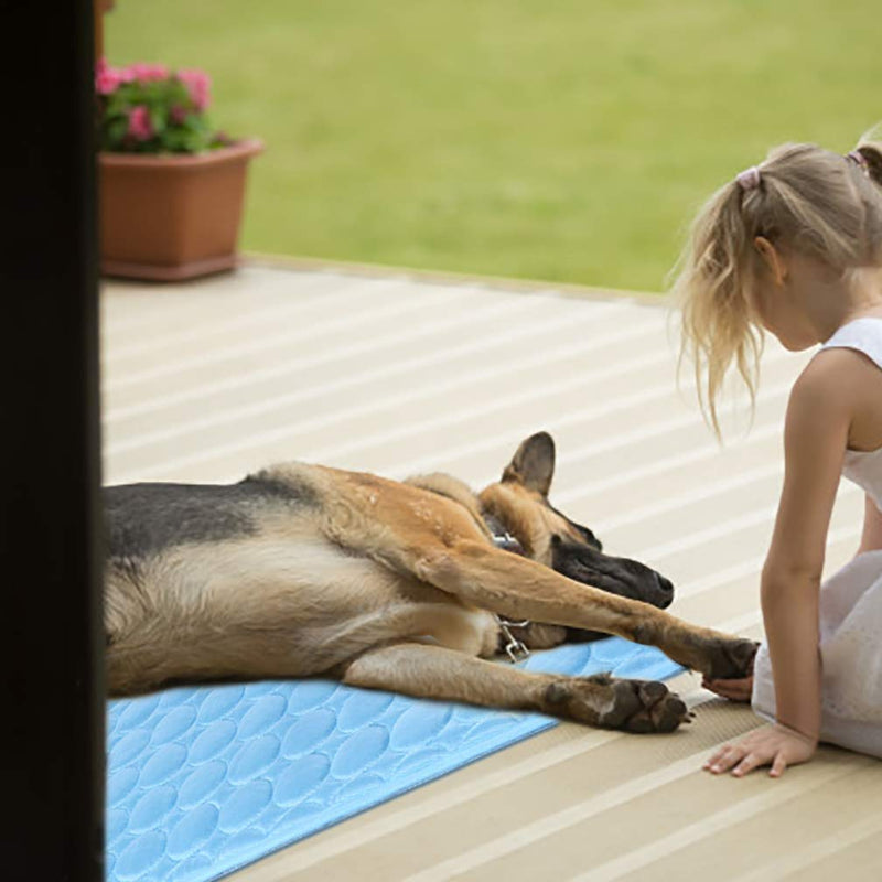 Washable Dog Ice Silk Self Cooling Mat for Indoor & Outdoor Dog Mat with Cooling Pad & Blanket Blue 59x39 in - PawsPlanet Australia