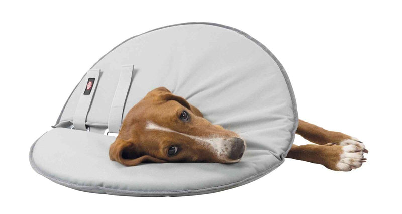 TRIXIE Protective Collar, Large, 46-49 cm/24 cm, Grey gray Large (Pack of 1)