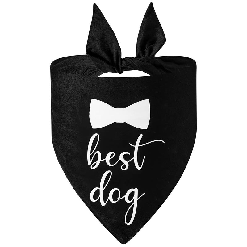 2 Pack Dog Bandana for Wedding Engagement and Birthday,Triangle Pet Scarf for Dog Lovers,Suitable for Small Medium Large Boy Girl Dog. - PawsPlanet Australia