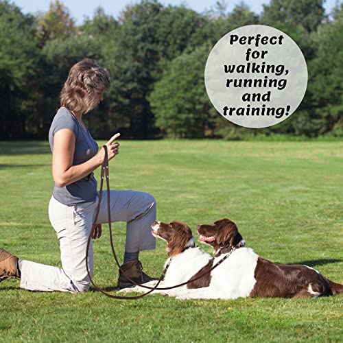 ADITYNA - Premium Leather Dog Leash - 6 ft, Heavy-Duty, Soft & Strong for Small/Medium Dogs - Perfect for Walking, Training, Hiking, and Running (Medium: 6 ft x 5/8", Brown) Medium: 6 ft x 5/8" - PawsPlanet Australia