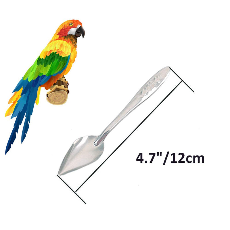 5 Pcs Bird Parrot Feeder Spoon Stainless Steel Milk Medicine Parrot Feeding Spoon for All Baby Bird Peony Cockatiel 4.7" - PawsPlanet Australia