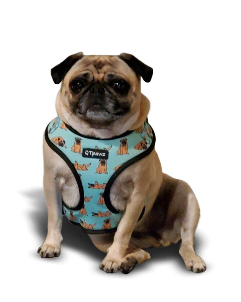 QTpawz Pug Vest Harness and Matching Leash, Breathable Mesh Interior Liner, 4 Adjusting Buckles to Get The Perfect Pug Fit (Medium) Medium - PawsPlanet Australia
