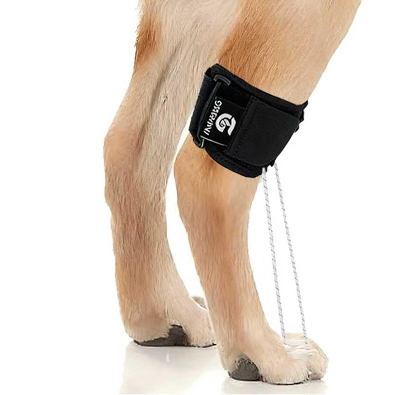 Dog Rear Leg Support Brace for Foot Drop, Canine Knuckling Prevention, Toe Dragging Assistance L