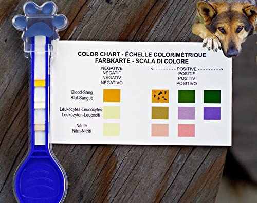 PawCheck UTI Test Kit for Dogs, Including an Urinalysis Test Strip and a Reusable P-Scoop Telescopic Urine Collector - PawsPlanet Australia