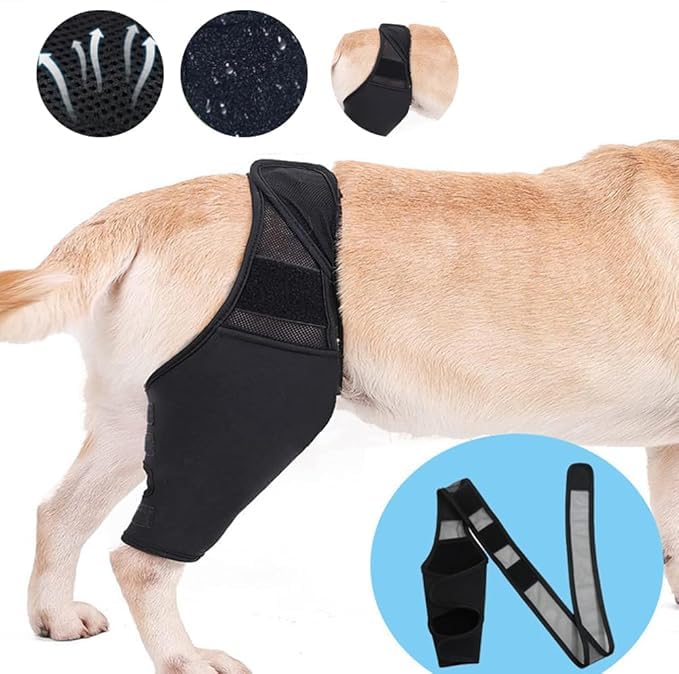 Compressive Back Paw Support Dog Support Joints Hip Protective Band Pets Muscle Stabilizer (S) S