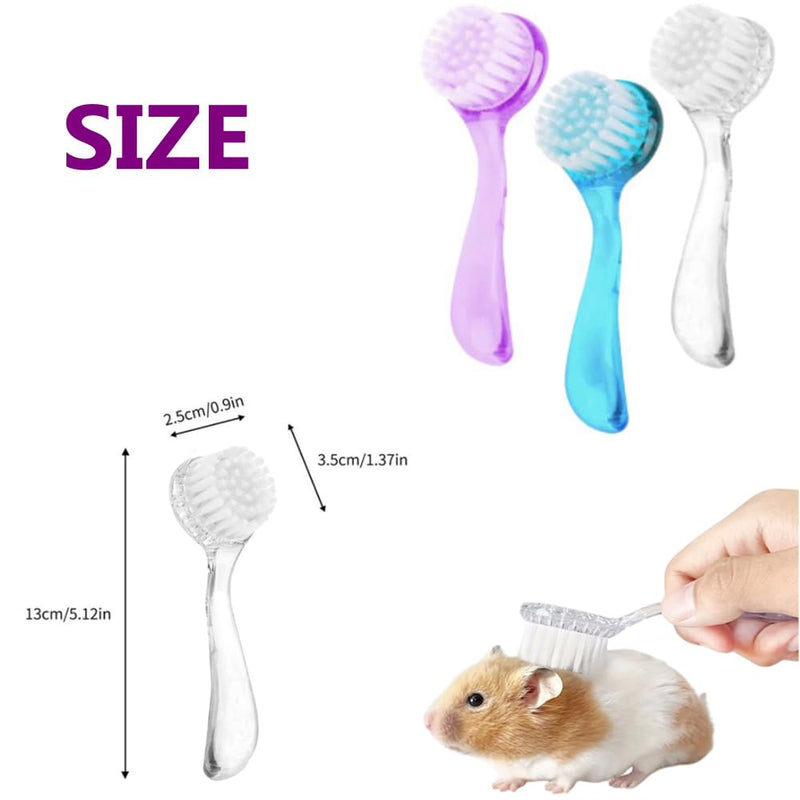 3PC Small Animal Bath Brush with Lid Soft Cleansing Brush Massage Combs for Hedgehog Guinea Pig Rabbit Chinchilla Ferret Small Animal Grooming Tool Cleaning Supplies - PawsPlanet Australia