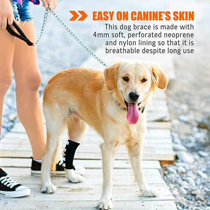 NeoAlly Dog Rear Leg (One Leg) Hock Brace, Canine Leg Wrap for Hind Leg, Ideal Hock & Ankle Support and Protection for Sprain Recovery, Achilles Tendon Injury (Extra Large (Left Leg)) Left Leg X-Small