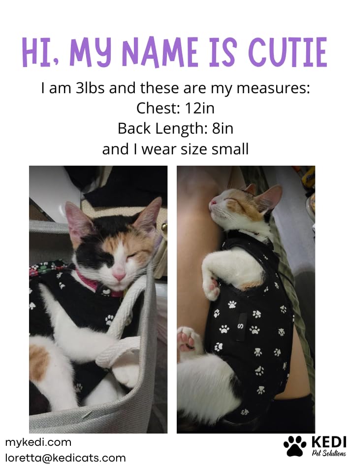 Cat Surgery Recovery Suit Female Cat Onesie for Cats After Surgery Spay Surgical Abdominal Wound Skin Diseases E-Collar Alternative Wear (Black, Medium) Black