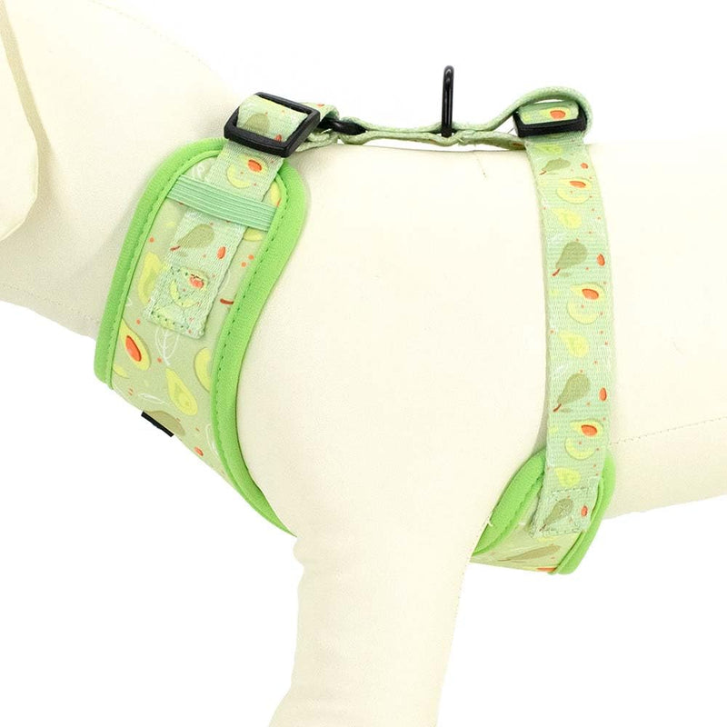 Dog Harness and Leash Set, Adjustable Dog Harness, Dog Leash, No Pull No Choke Puppy Harnesses for Walking Training for Small Medium Large Pet S(Chest 13 - 19", Neck 9.5 - 13.1") Avocado - PawsPlanet Australia