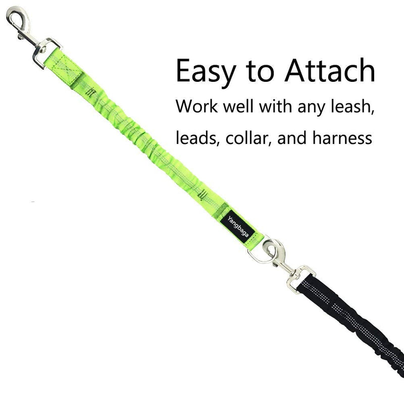 Yangbaga Dog Leash Extender, Shock Absorber Bungee Leash Attachment, Durable Nylon Dog Tie Out Extension with Stainless Steel Swivel Clips Green for dogs < 20lbs - PawsPlanet Australia