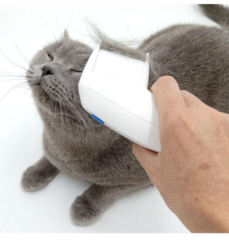 Pet Combs ，Electric Pet Combs Dog/Cat Comb, Cat Hair brush,suitable for electric beauty combs for for Long and Short Hair Cat Dog Puppy Bunny - PawsPlanet Australia